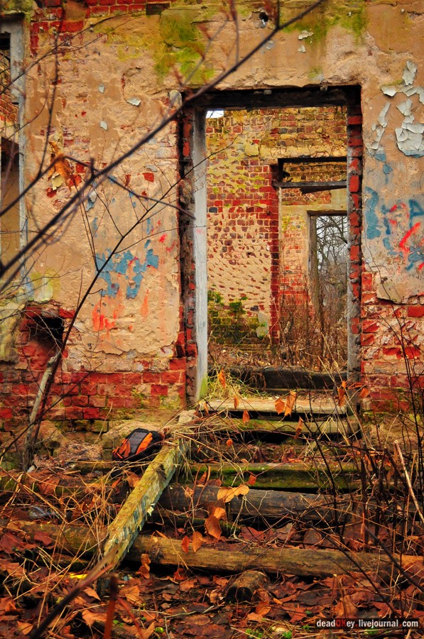 усадьба Волхонка