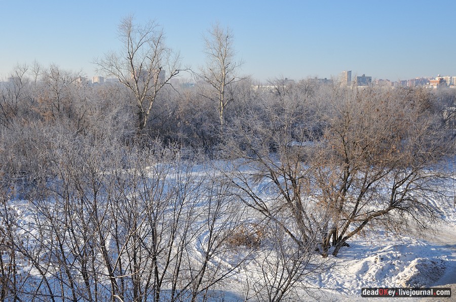 усадьба Люберцы