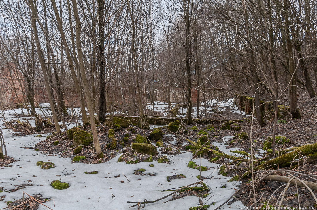 Усадьба Пущино-на-Оке