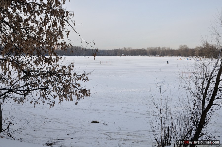 Косино