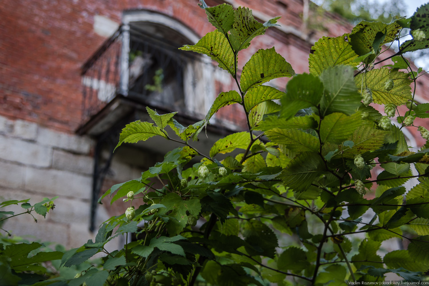 усадьба Талдыкиных, Воргольские скалы, Липецкая область