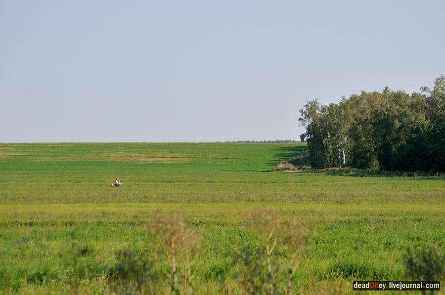 усадьба Шишкино