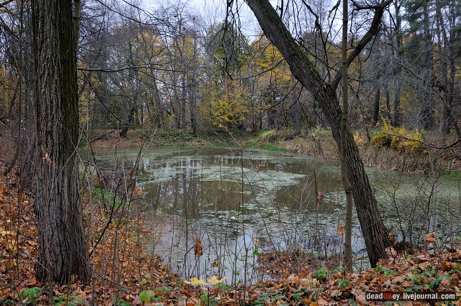 усадьба Глинки