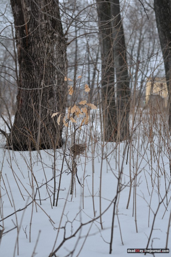 усадьба Троице-Лобаново