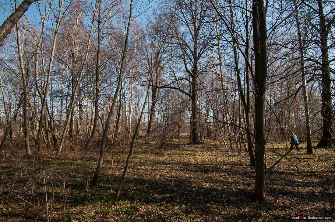 усадьба Савинское (исследование масонского парка)