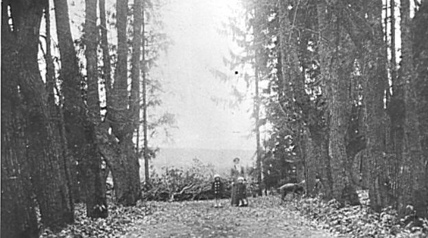 усадьба Воскресенки