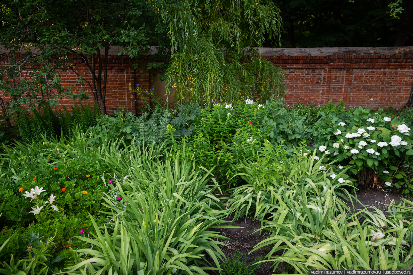 Богородицк, сад во дворце