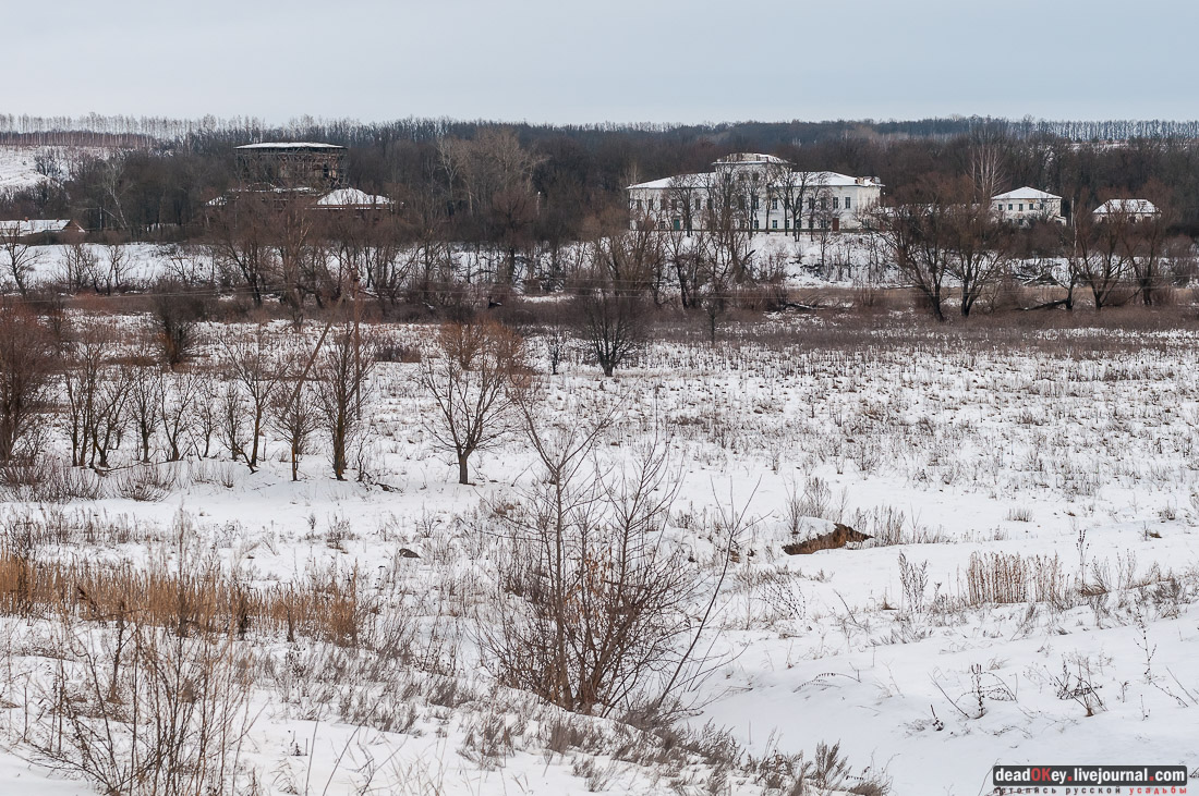 усадьба Репец