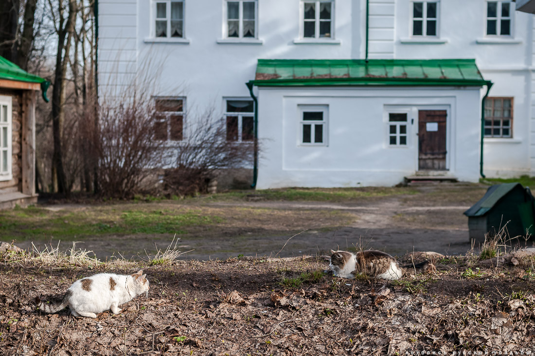 Летопись русской усадьбы. Положительные новости недели.
