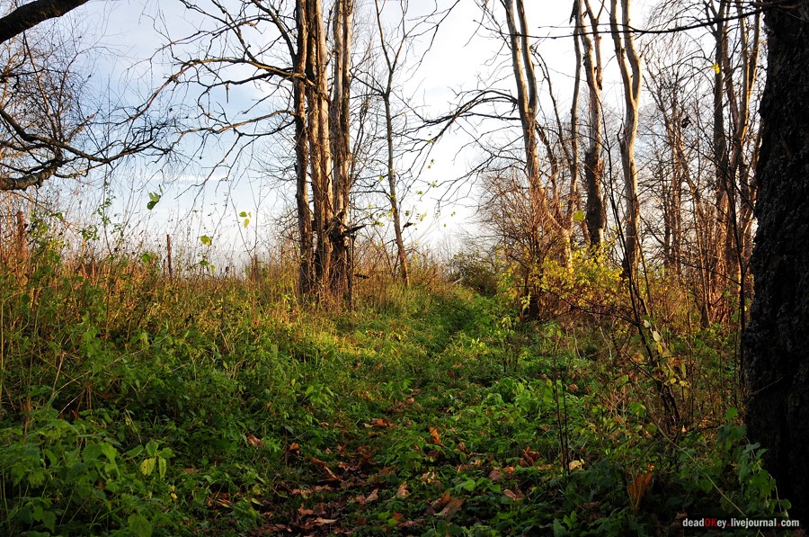 усадьба Бережки