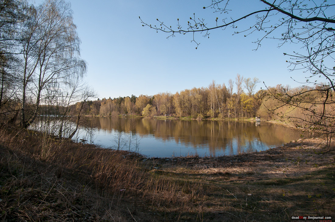 усадьба Чижово, Балашихинский район