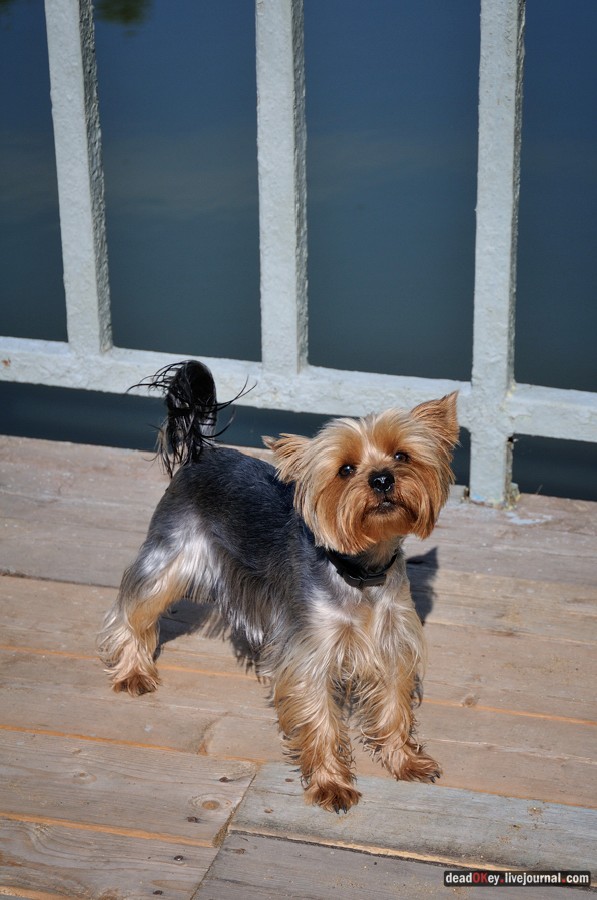 усадьба Денежниково