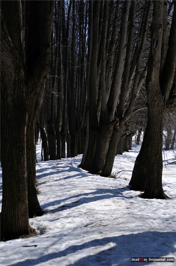 усадьба Узкое