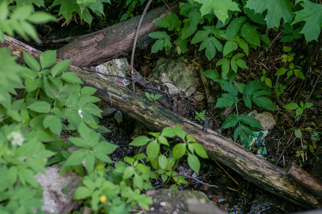 Усадьба Быково. Фотокопии с чертежей архитектора Симона Бернара 1851 год