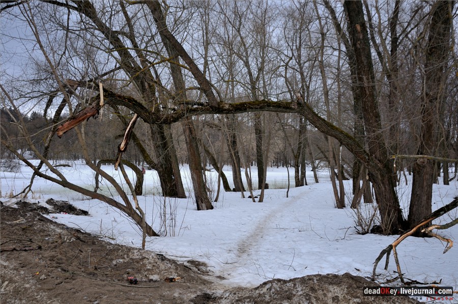 усадьба Александровка (Лопаткино)