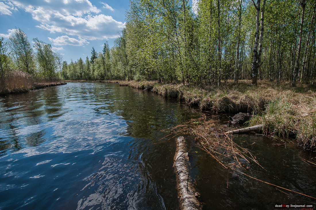 Россия, Карелия, Кондопожский район, Вендеры, Сяпчозеро, Спасская Губа