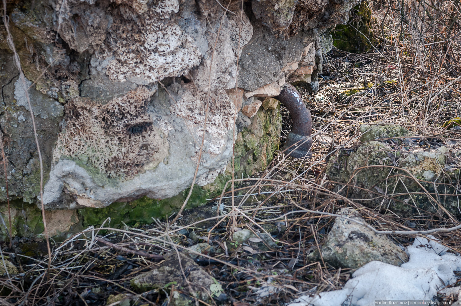 усадьба Соха