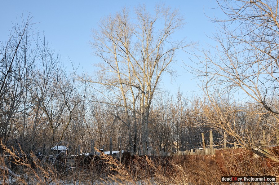 усадьба Люберцы