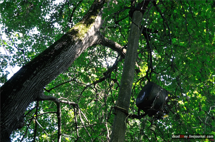 усадьба Никольское-Тимонино