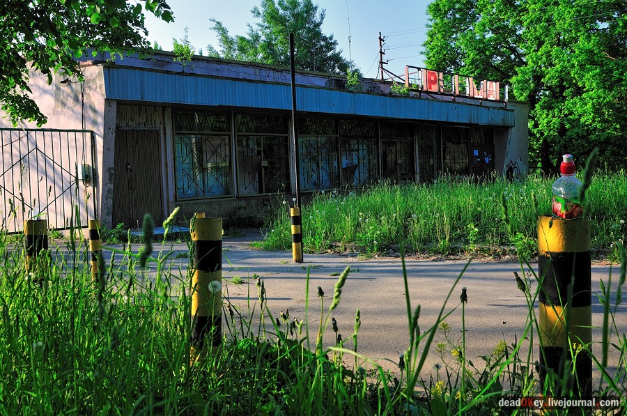 усадьба Богословское-Могильцы