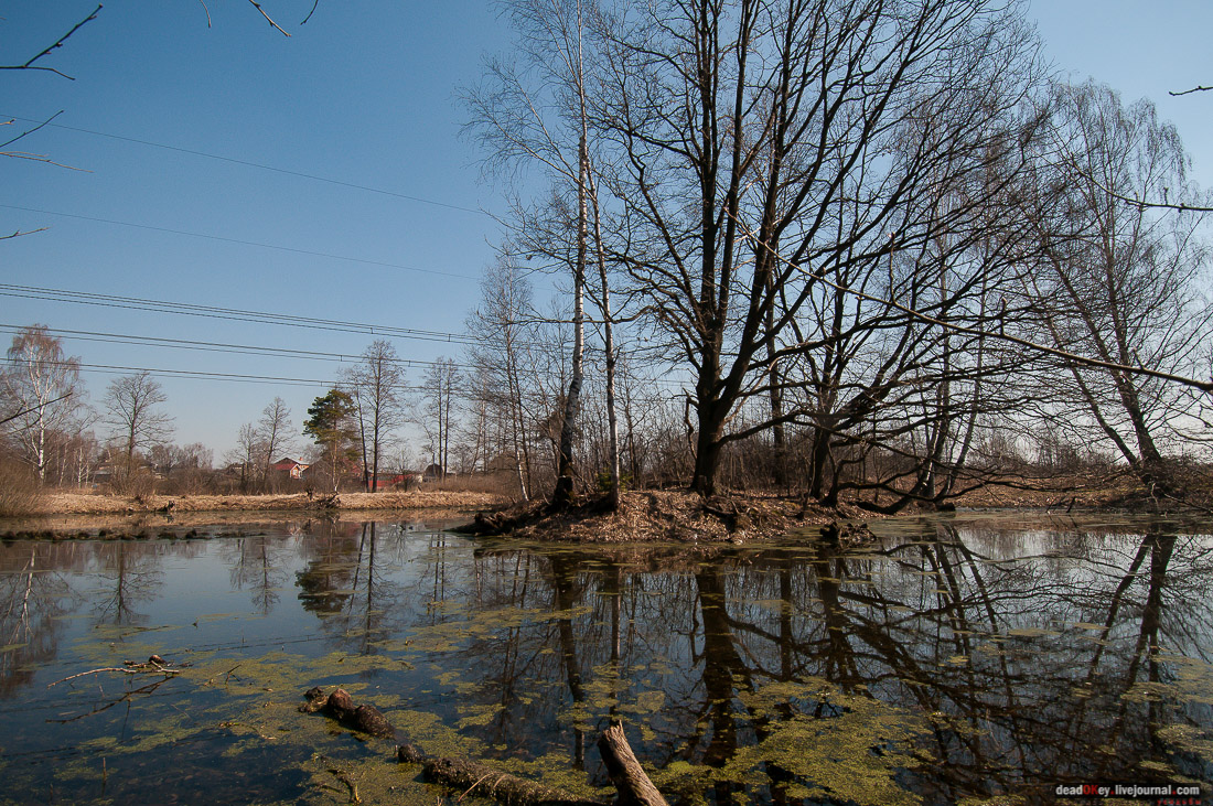усадьба Савинское (исследование масонского парка)
