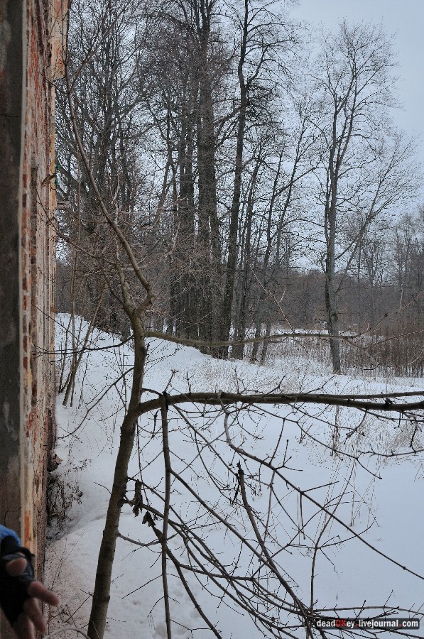 усадьба Троице-Лобаново