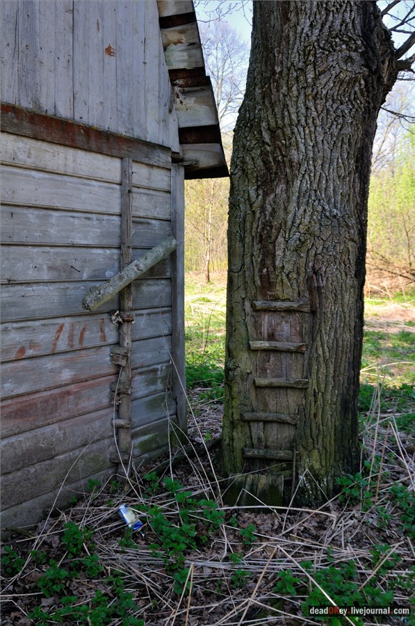 усадьба Андреевское-Туркино (Перематкино)