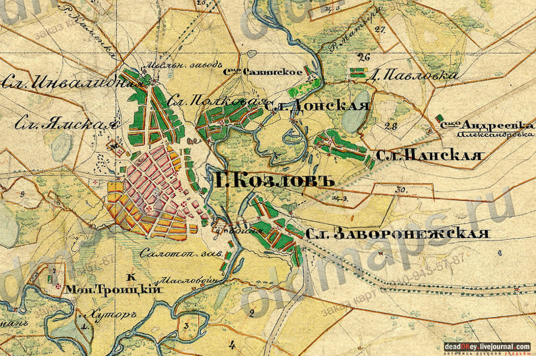 Усадьба Голицыных, г. Мичуринк