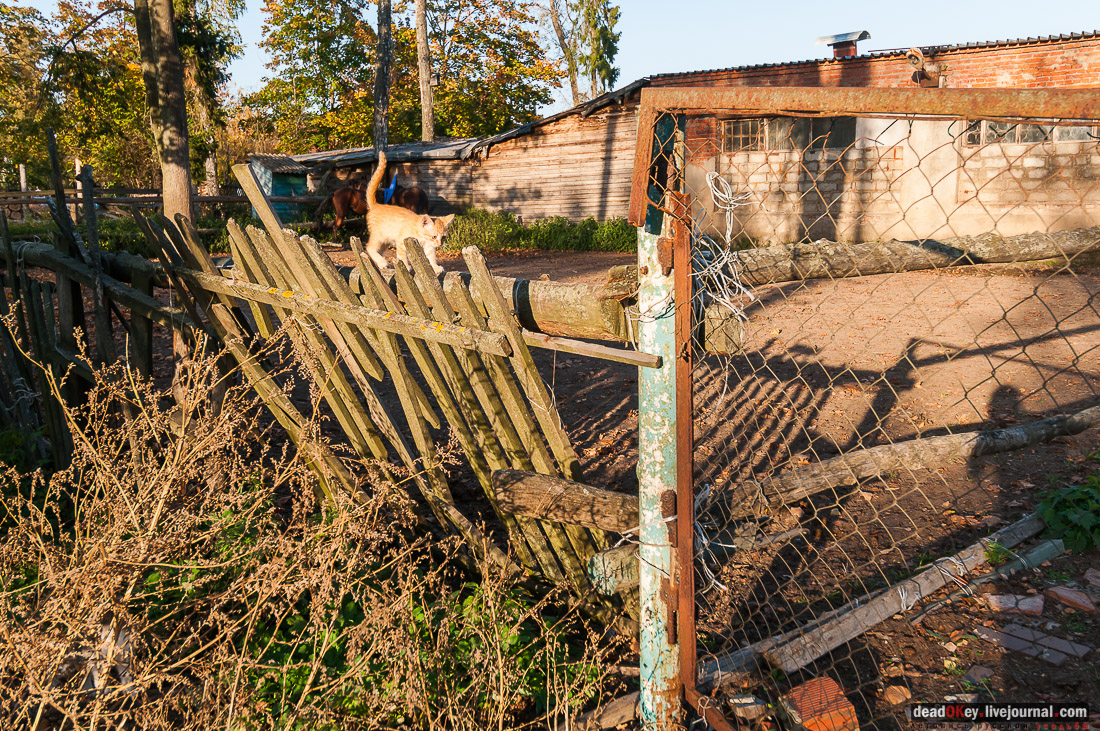 усадьба Бергов