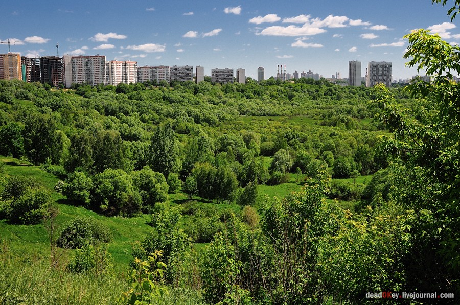 усадьба Братцево