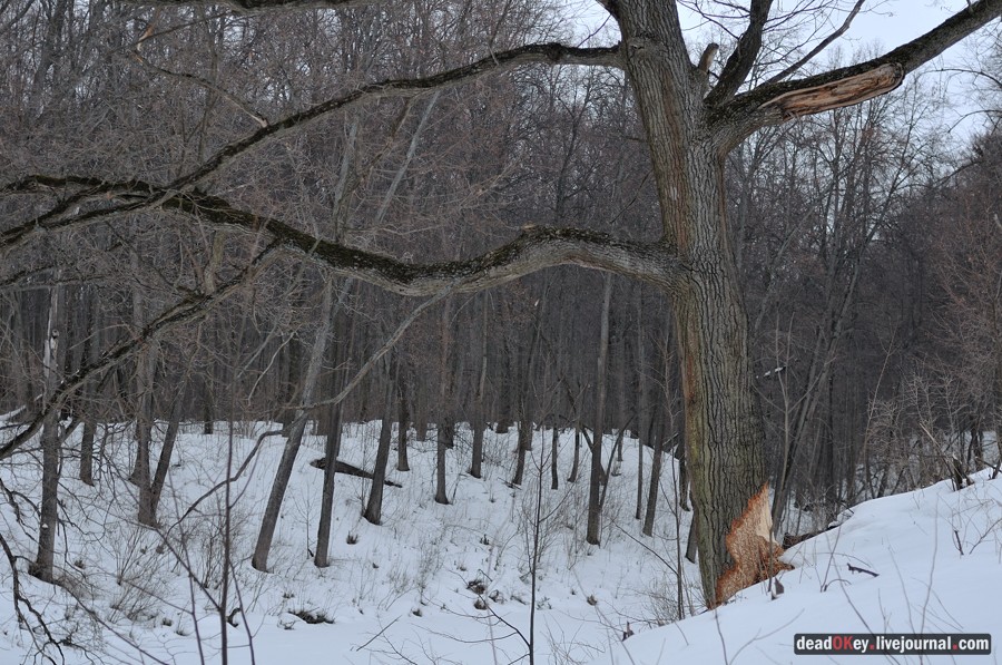 усадьба Троице-Лобаново