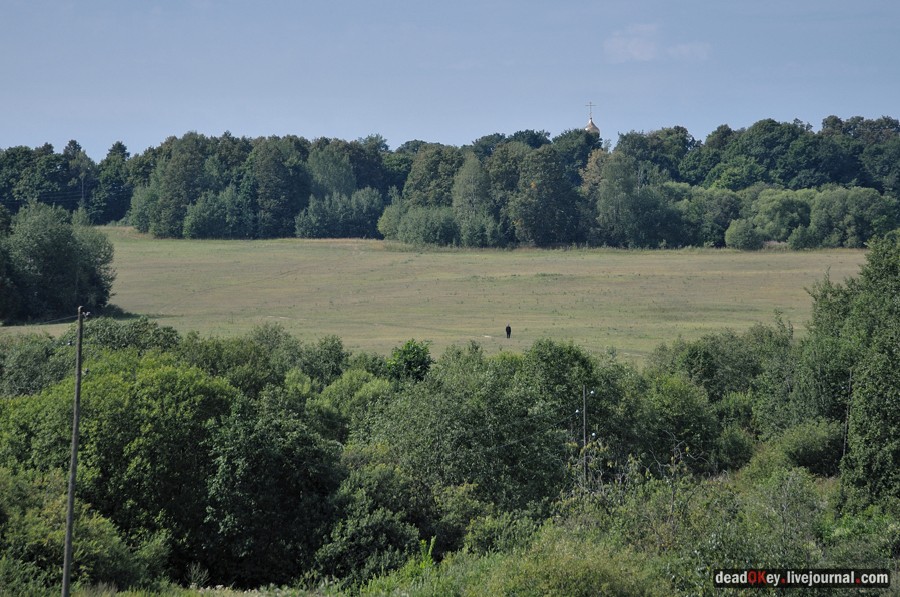 усадьба Опарино