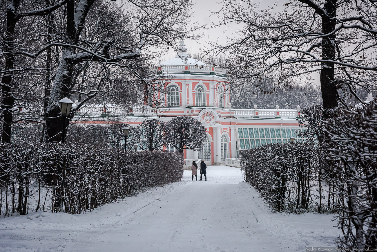 Усадьба Кусково зимой, 2018 год