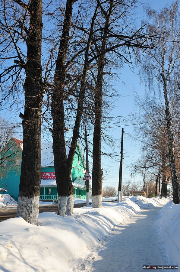 усадьба Котово-Спасское