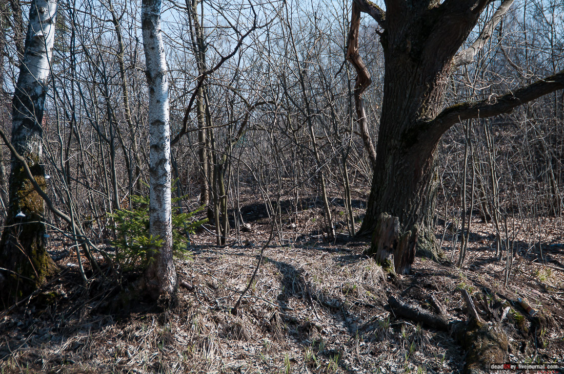 усадьба Савинское (исследование масонского парка)