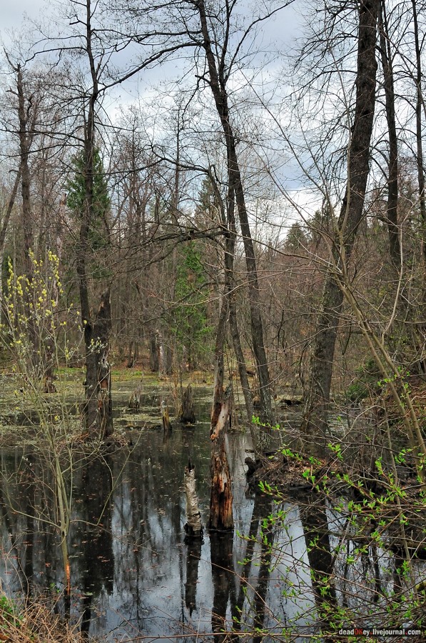 усадьба Антипино