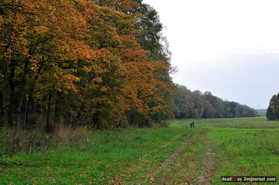 усадьба Ясная Поляна
