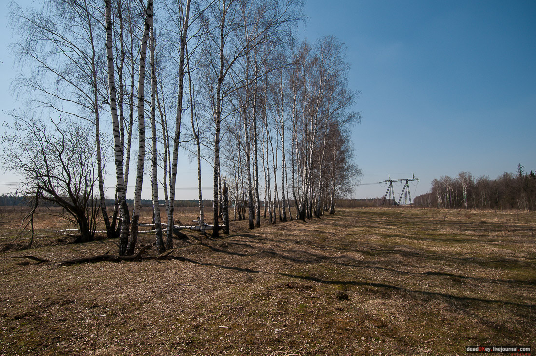 усадьба Савинское (исследование масонского парка)