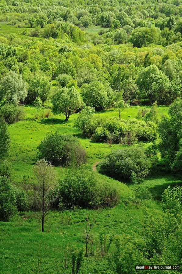 усадьба Братцево