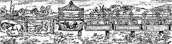 "Голубой вагон летит, качается ..." (История монорельса.) (Фото 2)