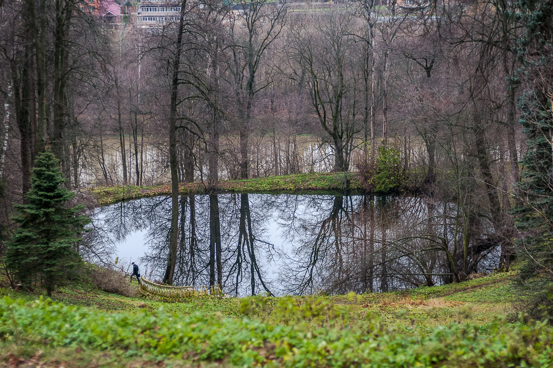 Усадебный экспресс. Горки Ленинские.