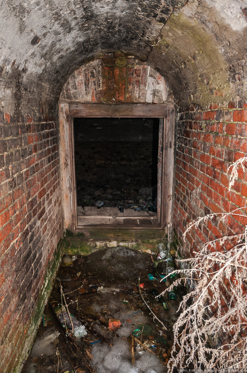 усадьба Соха