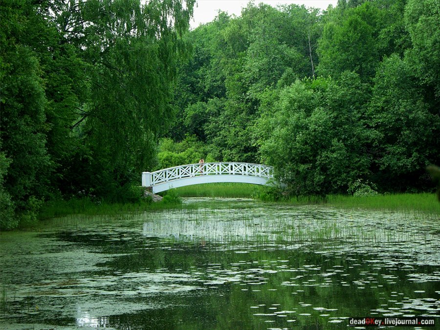 усадьба Остафьево