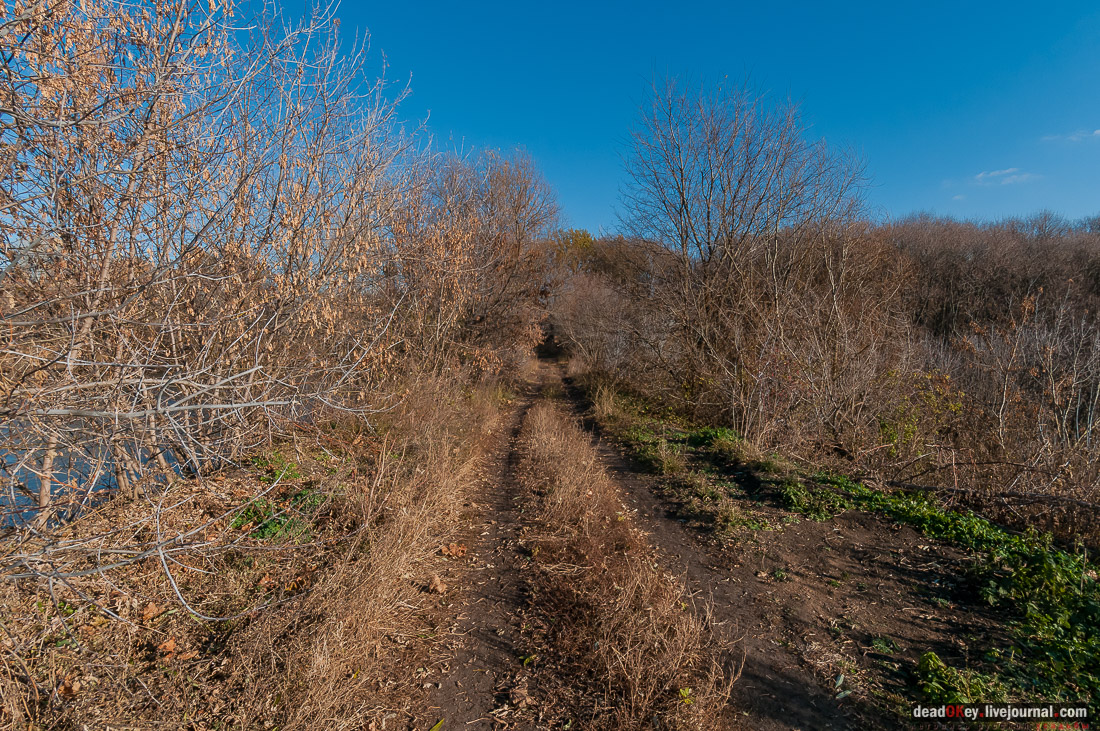 усадьба Полибино