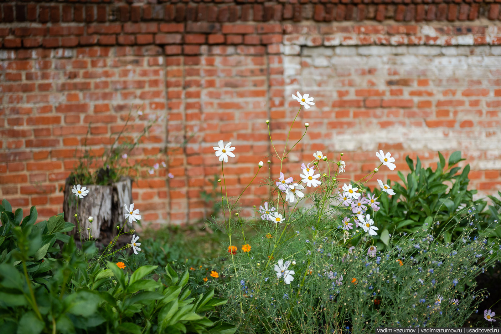 Богородицк, сад во дворце
