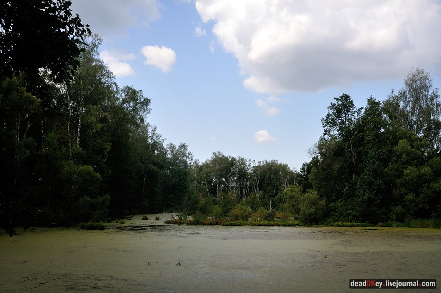 усадьба Денежниково