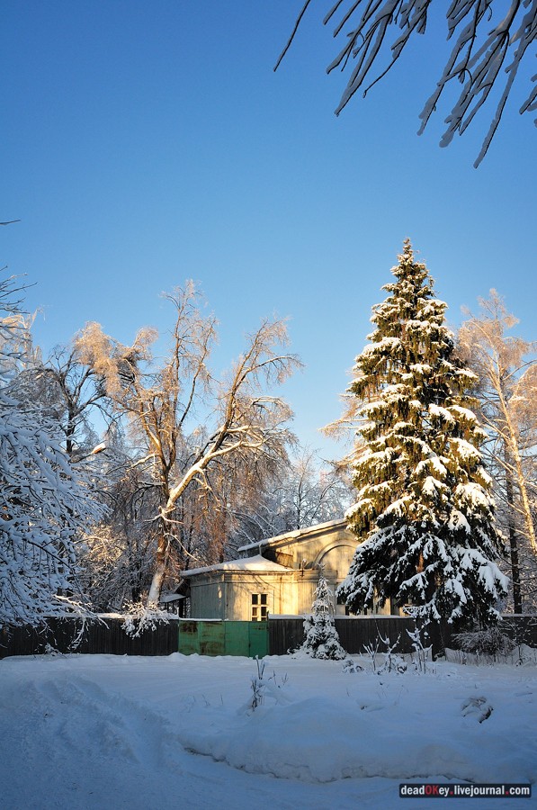 усадьба Полушкино