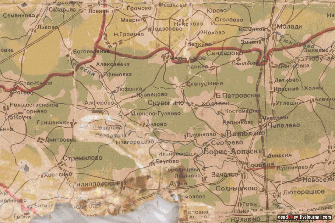 усадьба Васильевское-Скурыгино