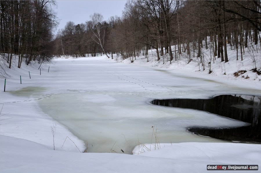 усадьба Райки