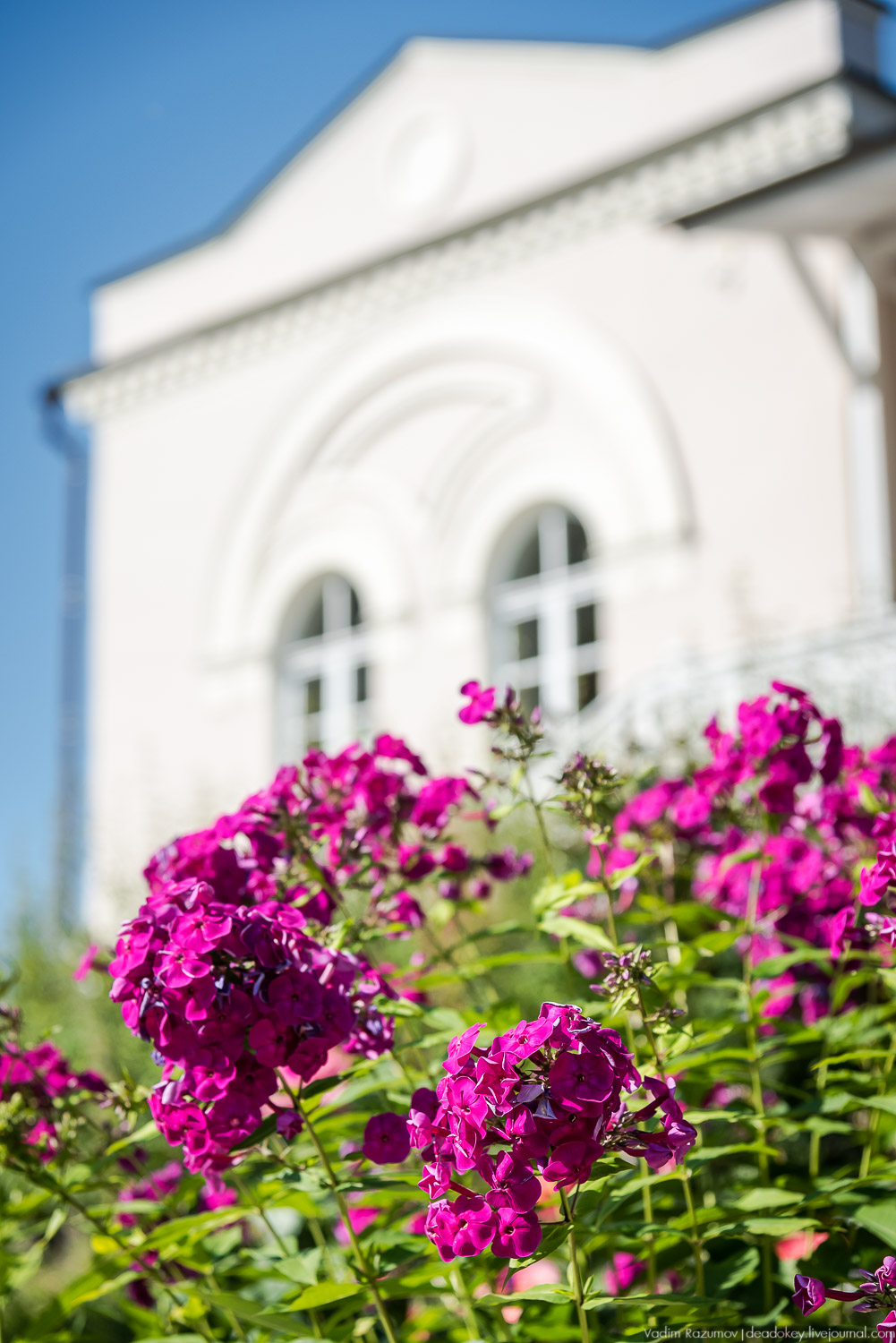 Цветы в усадьбах, поздравление с 8 марта